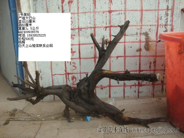 DSC06471.JPG