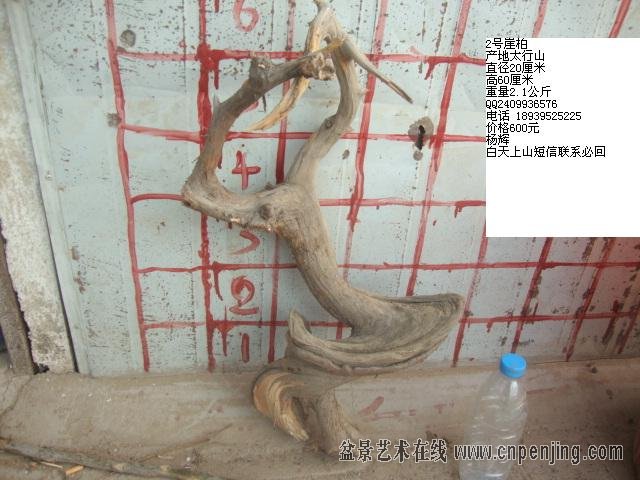 DSC06476.JPG