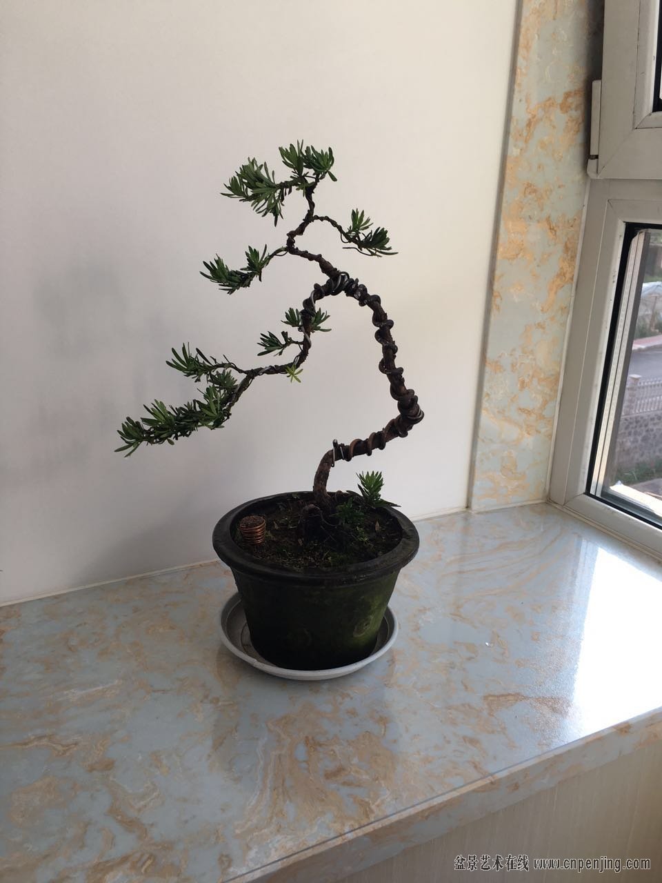 ΢ͼƬ_20170705100742.jpg