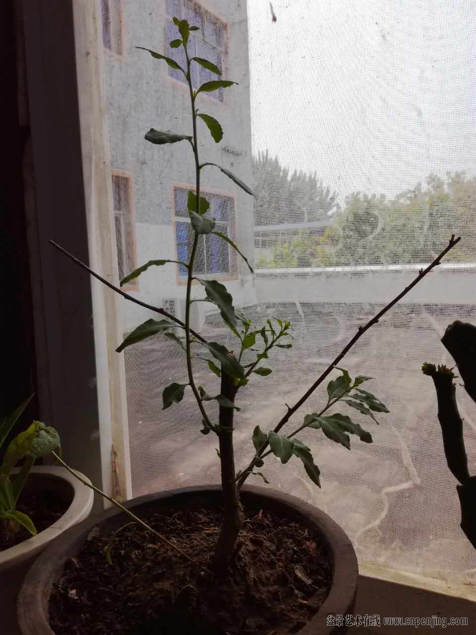 ΢ͼƬ_20170803112034.jpg