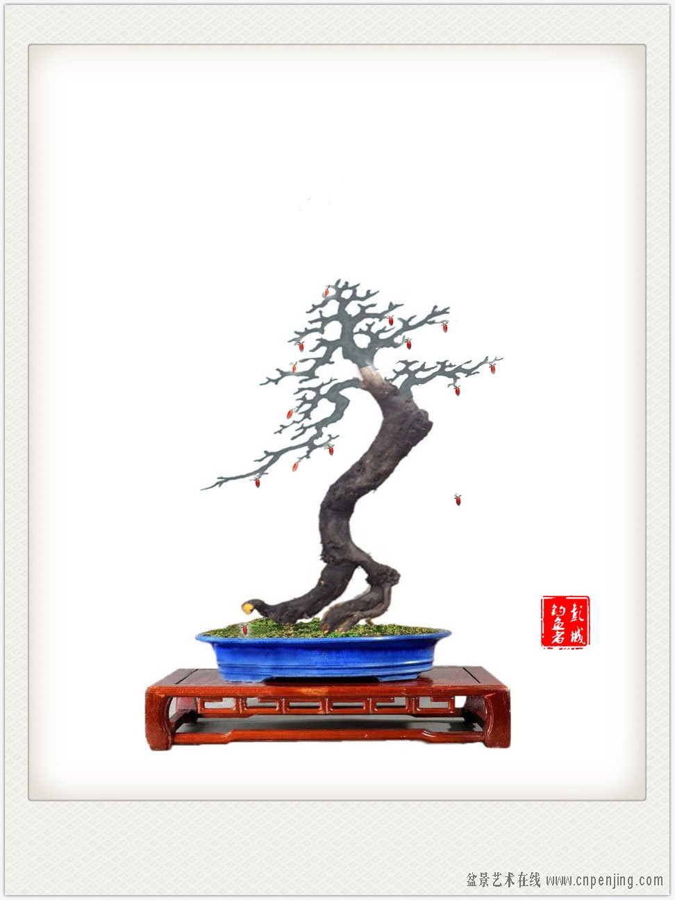 δ-111122_.jpg