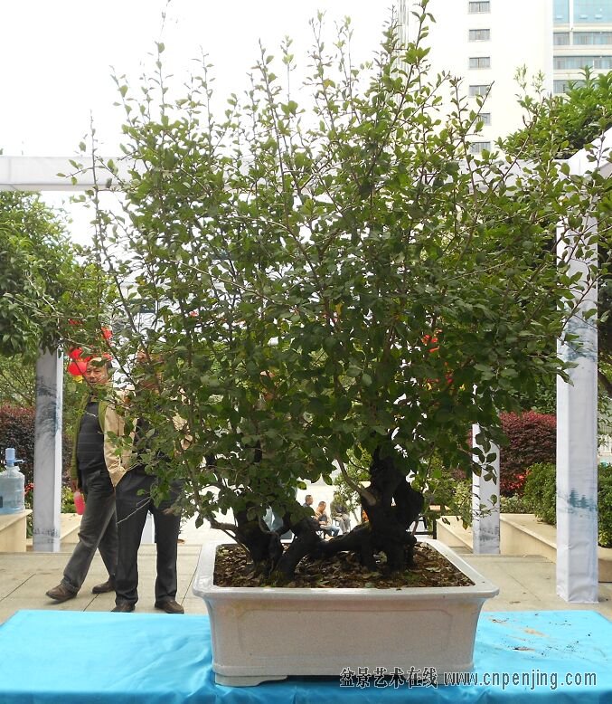 02ѻ6.jpg
