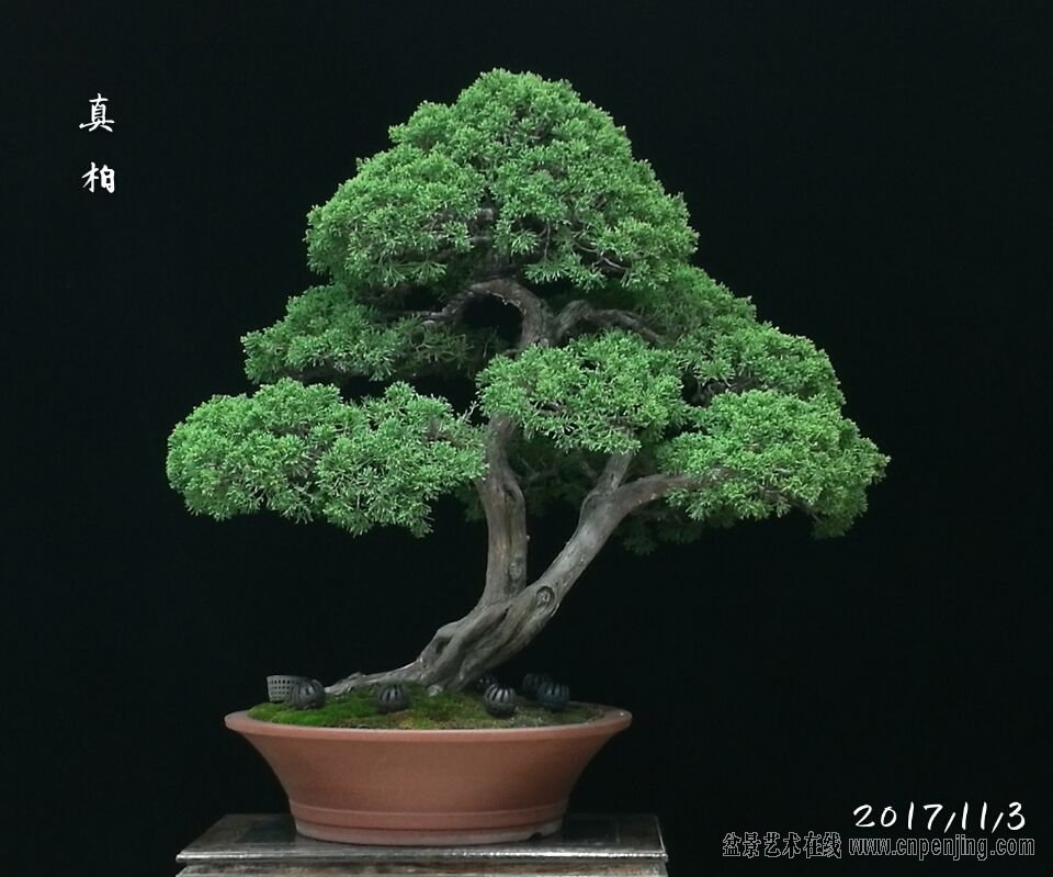 QQͼƬ20171104133136.jpg