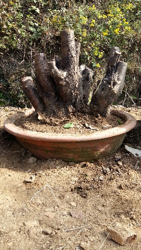 20171105_105548.jpg