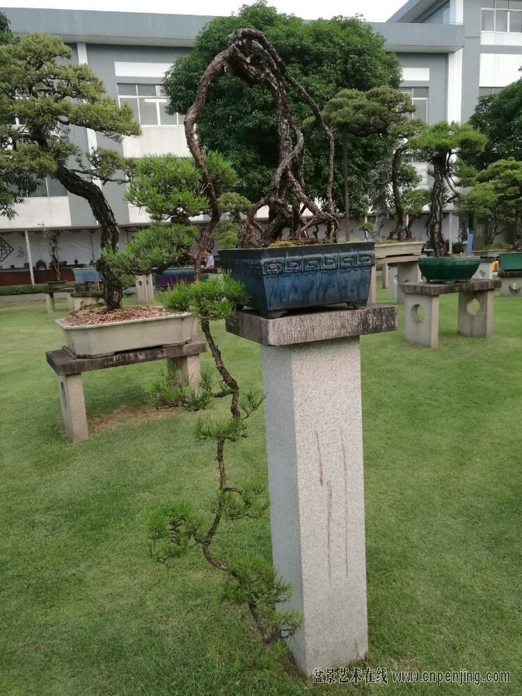 1477473991522155.jpg