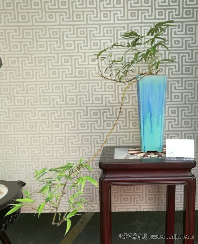 1477474117110171.jpg
