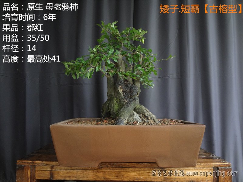 DSC04716_.jpg