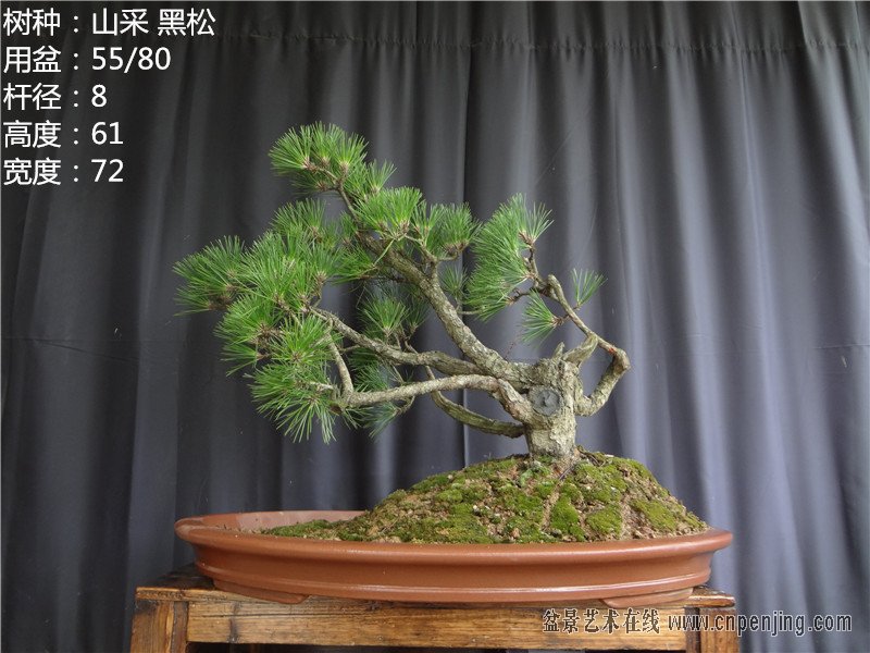 DSC04890_.jpg