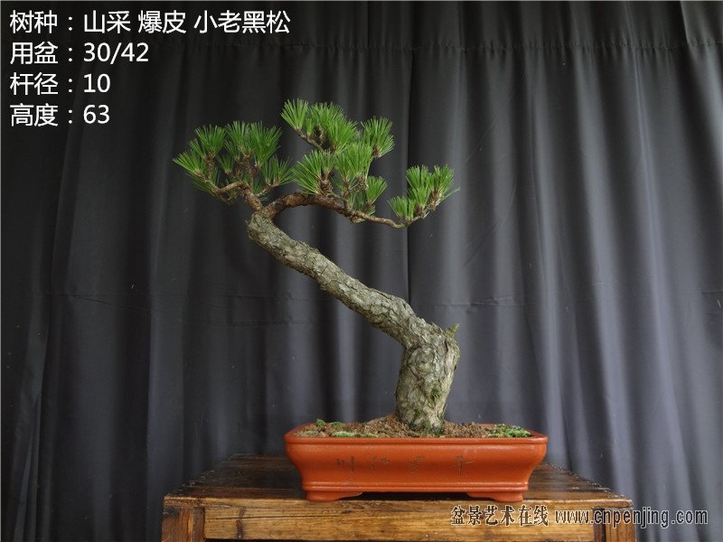 DSC04825_.jpg