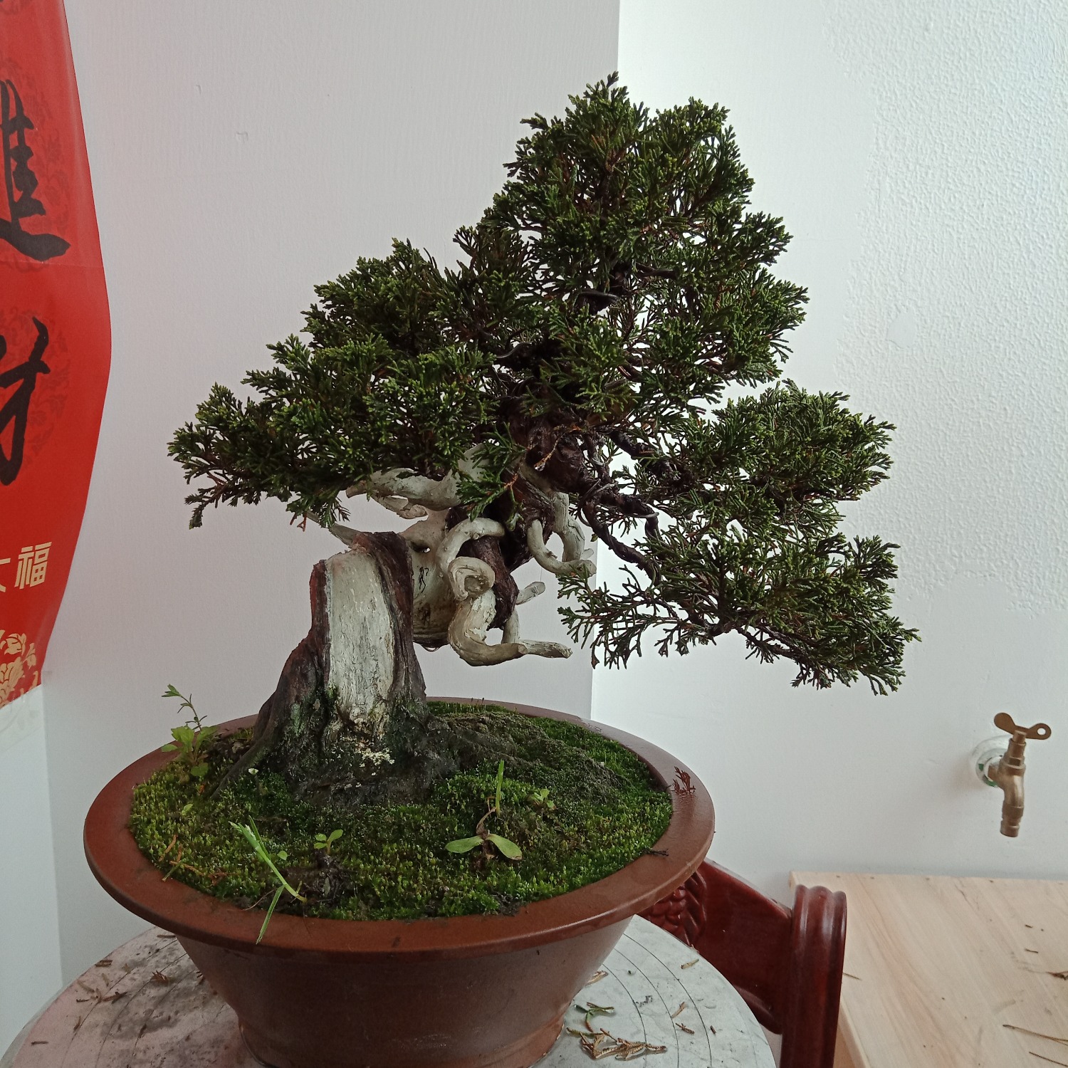 IMG20190330093418.jpg