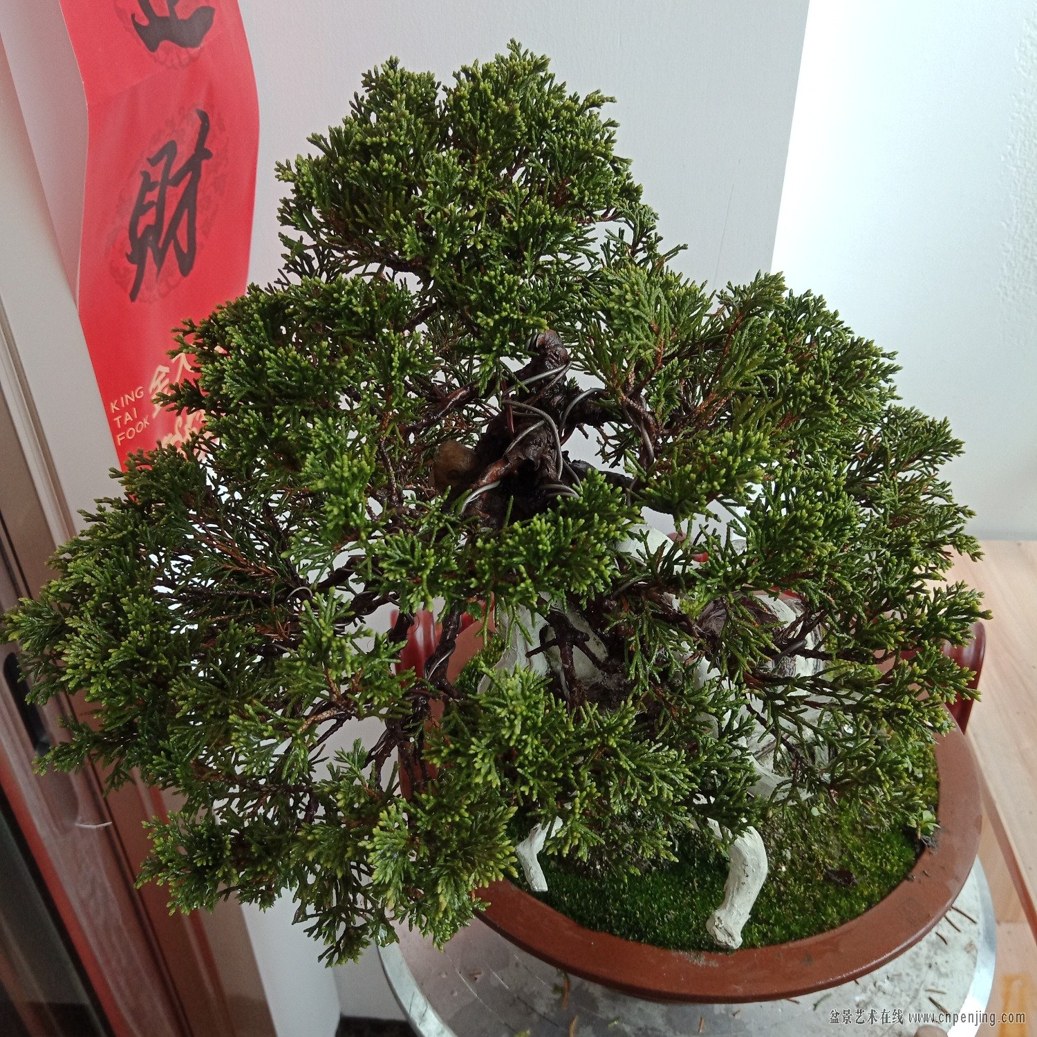IMG20190330093600.jpg