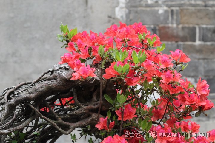 IMG_0063.JPG