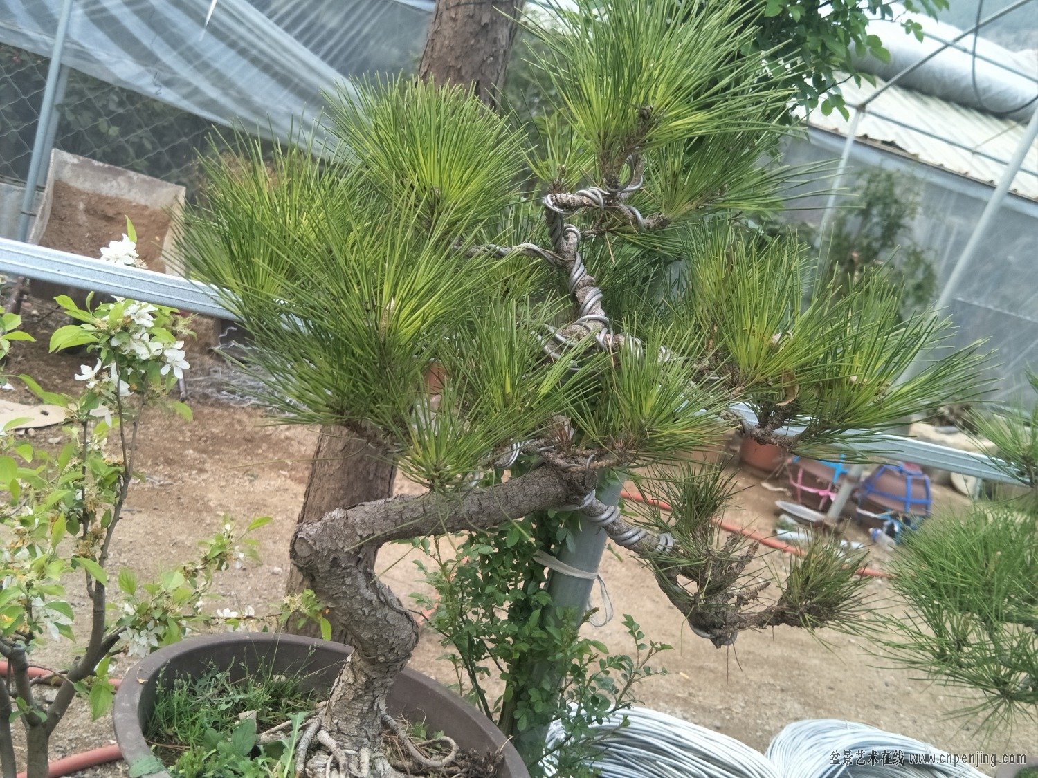 IMG20190412172915.jpg