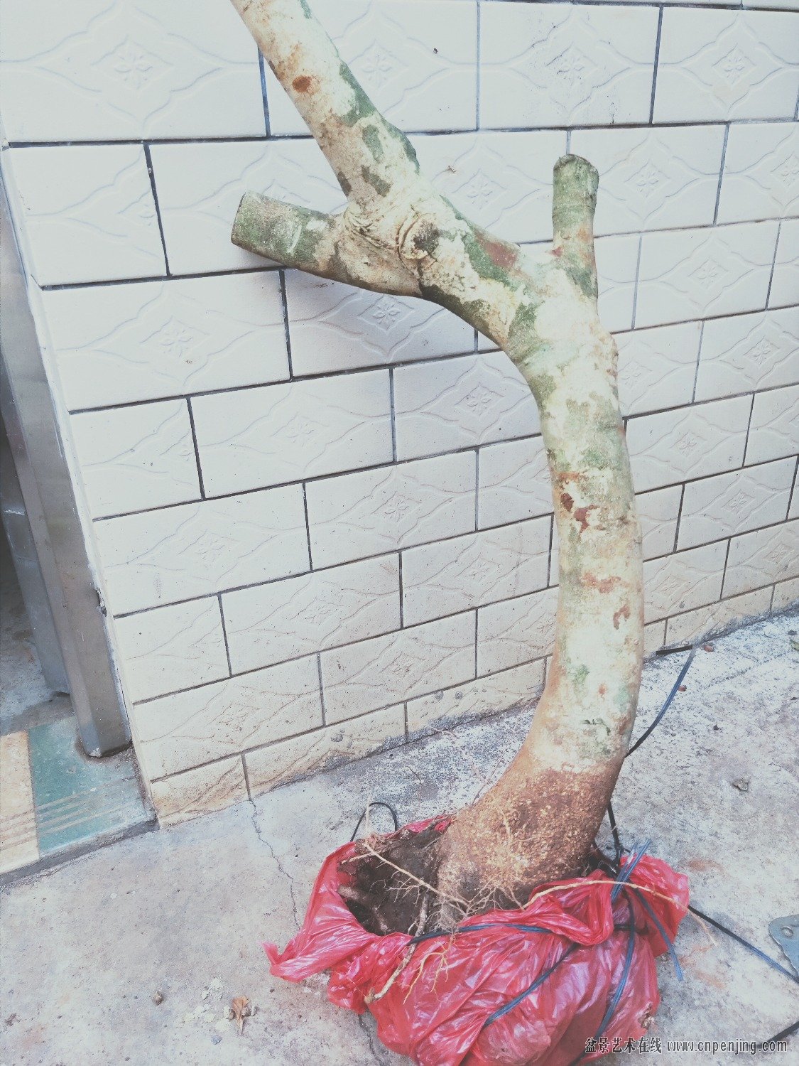 IMG20190419182414.jpg