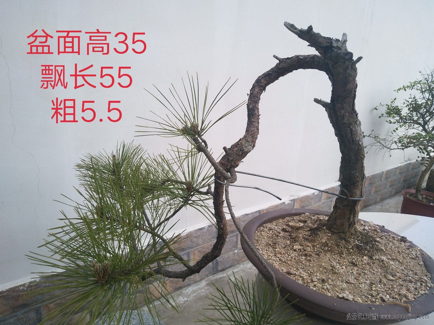 IMG_20190418_164048.JPG