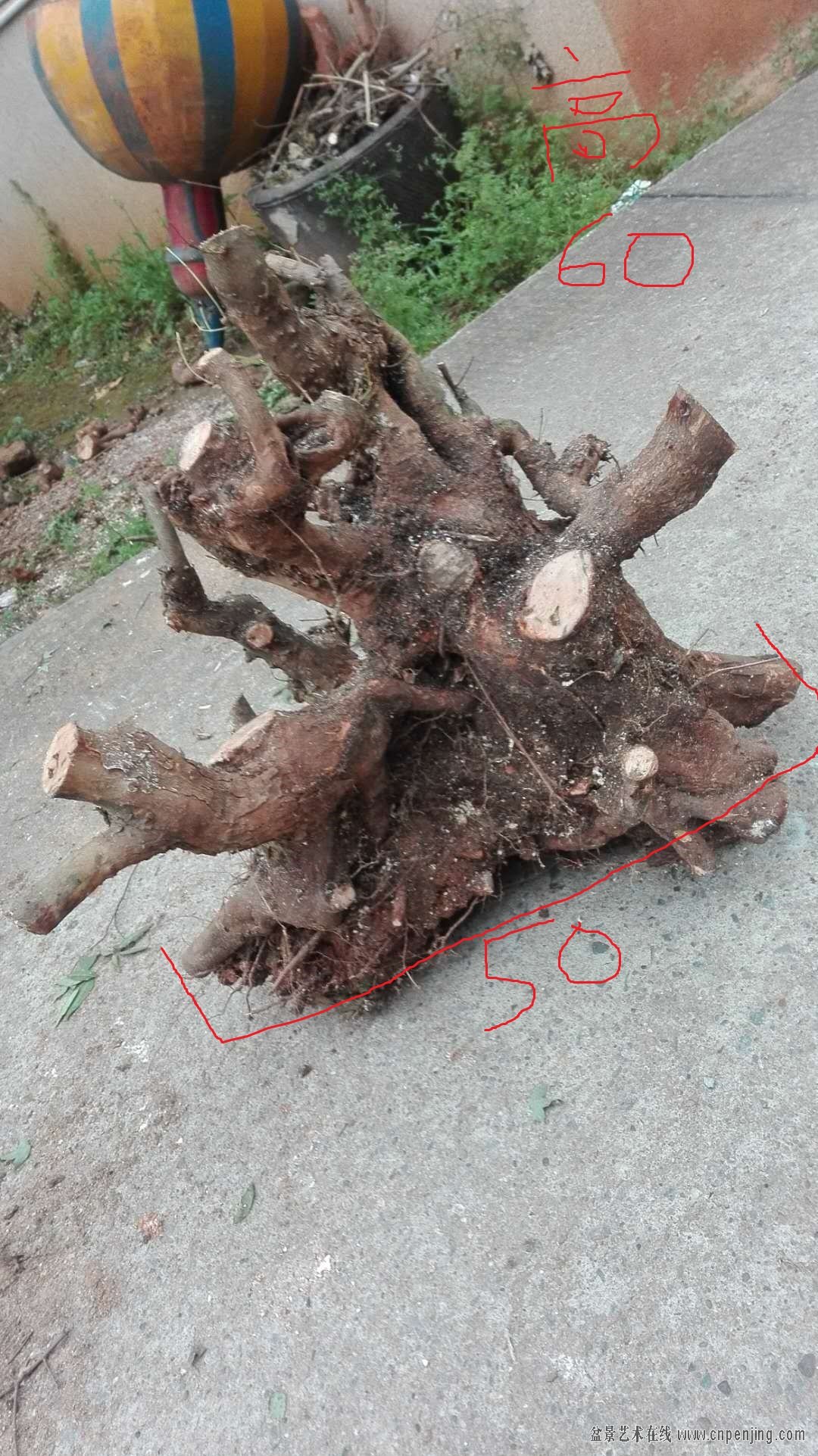 ΢ͼƬ_20190421204156.jpg