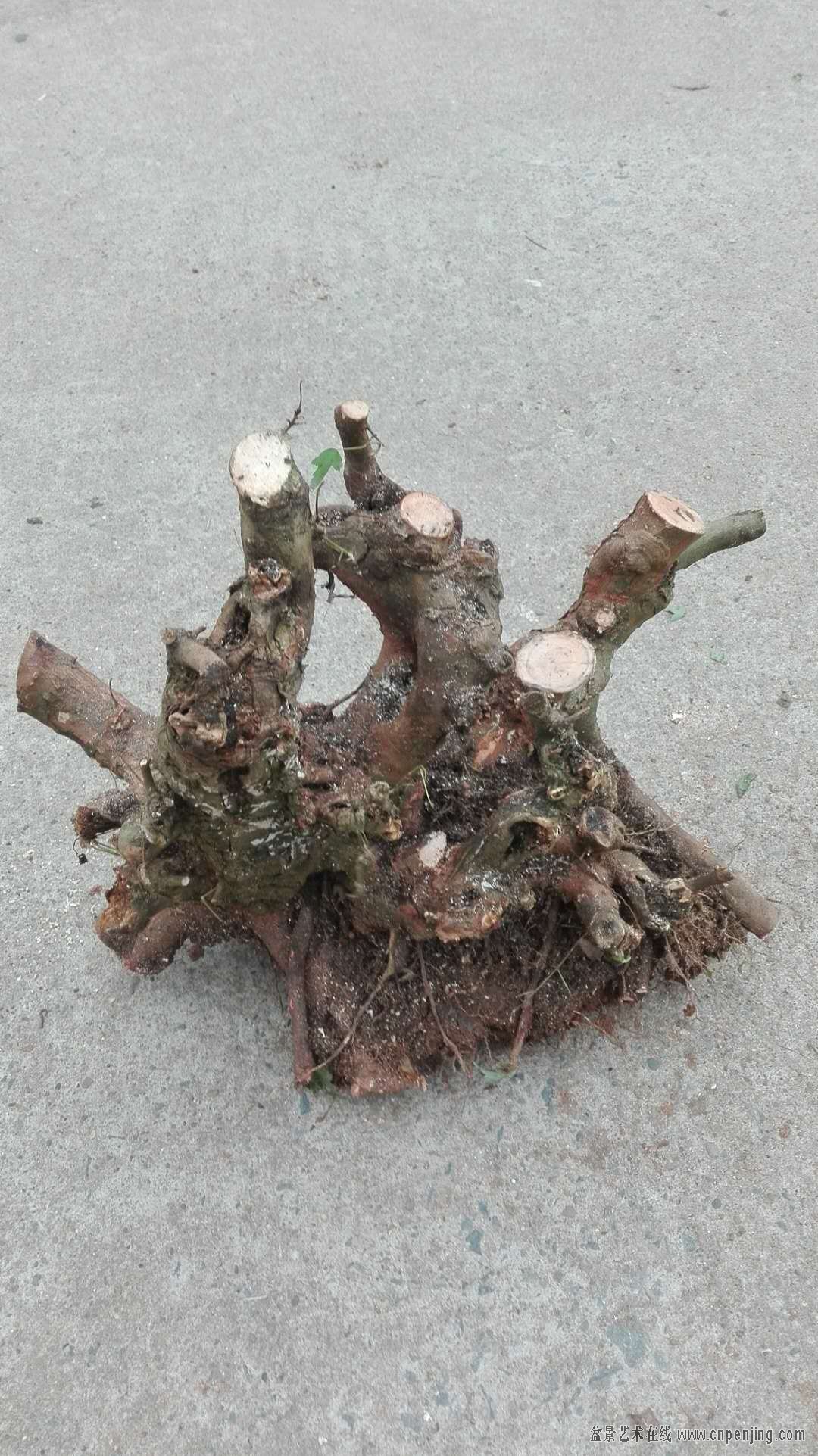 ΢ͼƬ_20190421204202.jpg