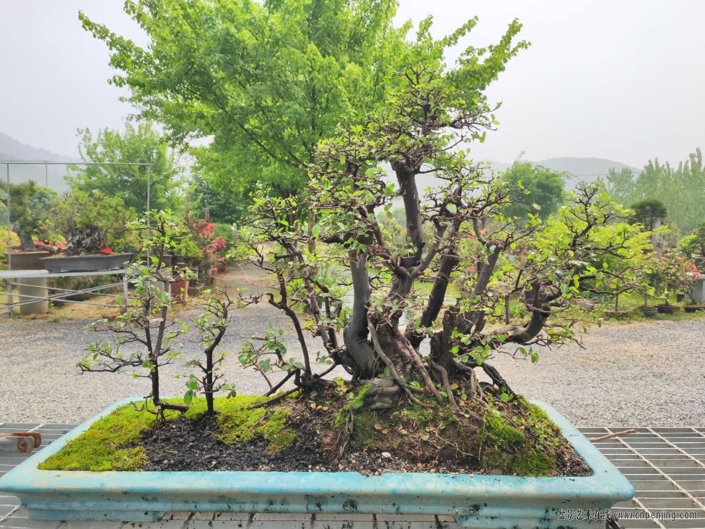 ΢ͼƬ_20190422103701.jpg