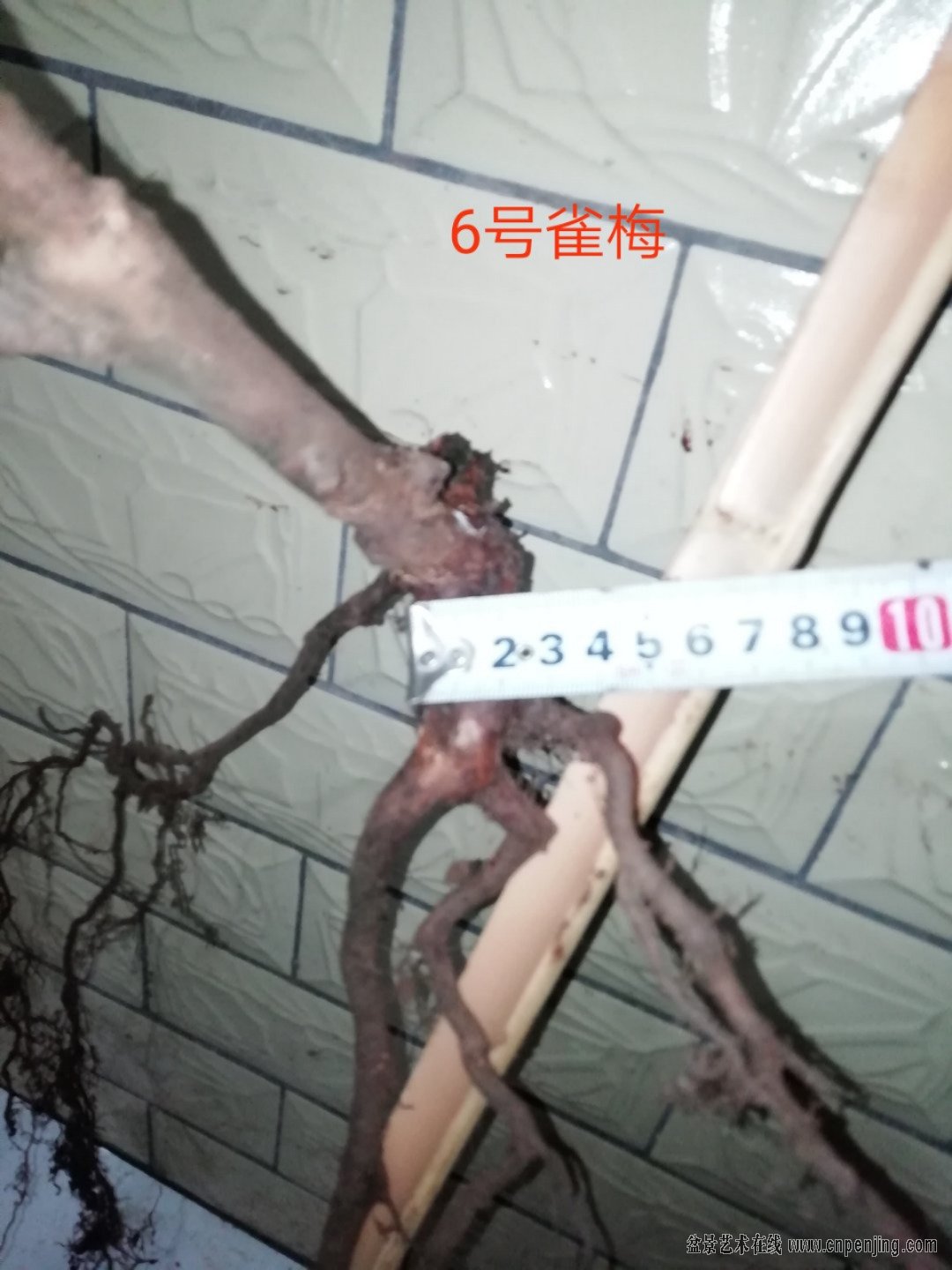 mmexport1556035130880.jpg