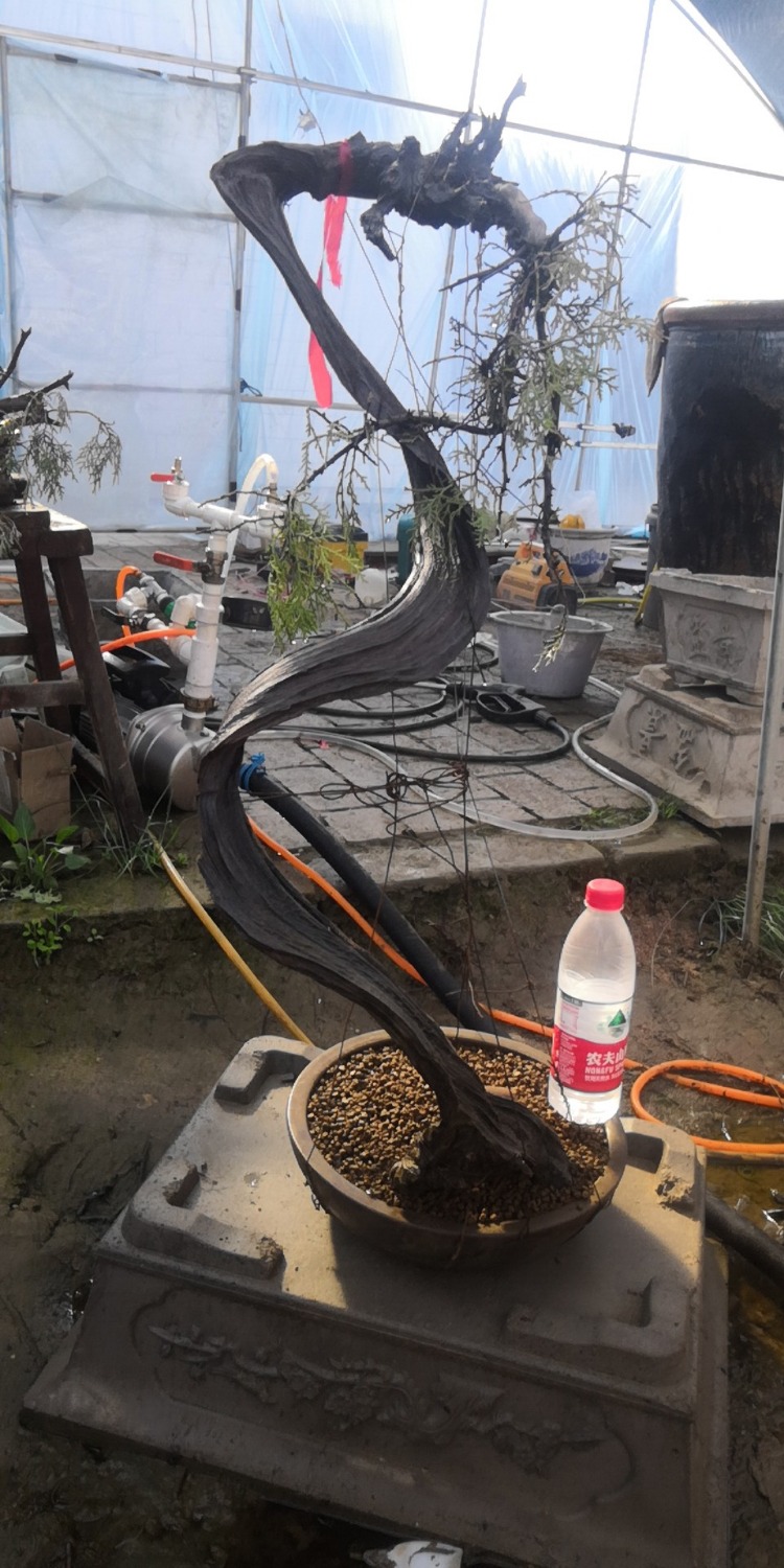 wx_camera_1555289358378.jpg