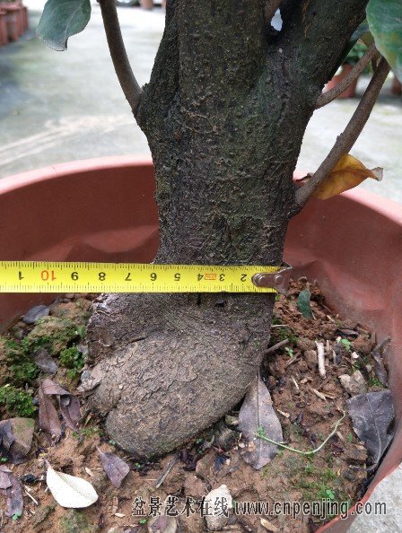 3b.jpg