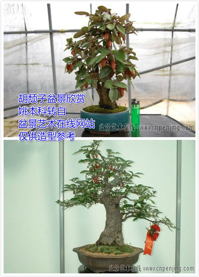 辰ο.jpg