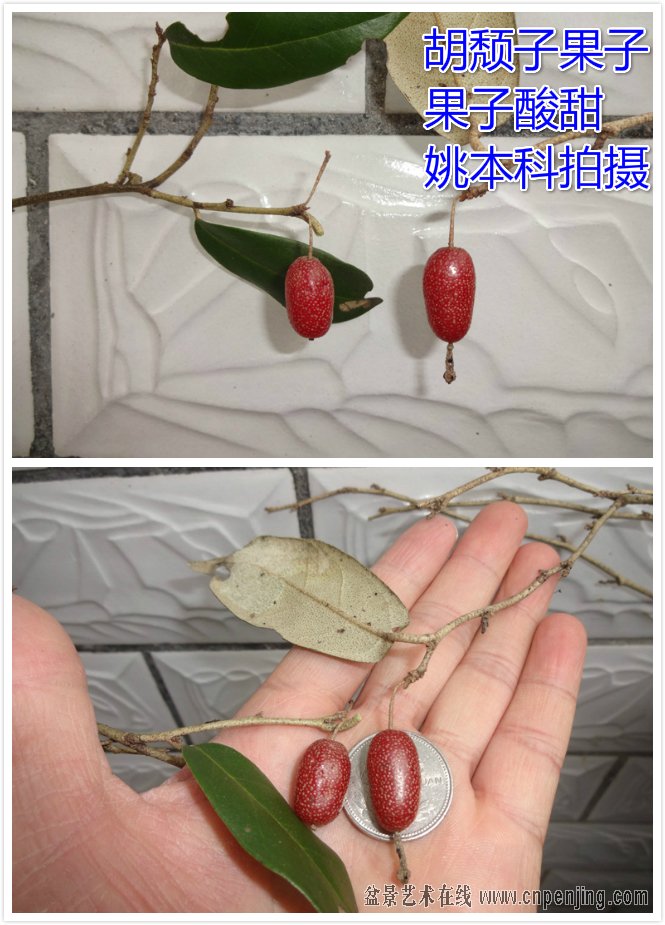 δ_meitu_0.jpg