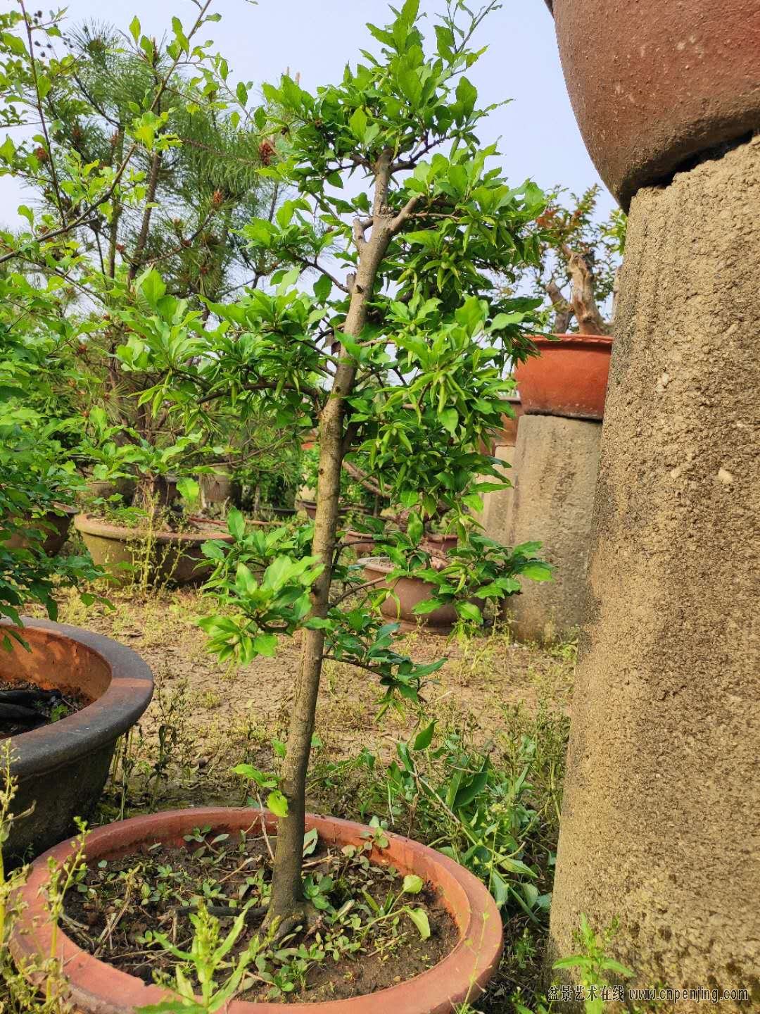 ΢ͼƬ_201904251526314.jpg