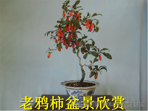 QQͼƬ20141024232717.png