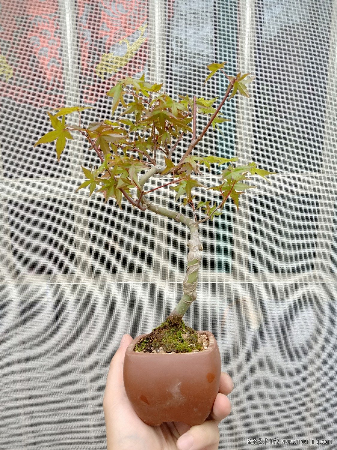 IMG20190428124900.jpg