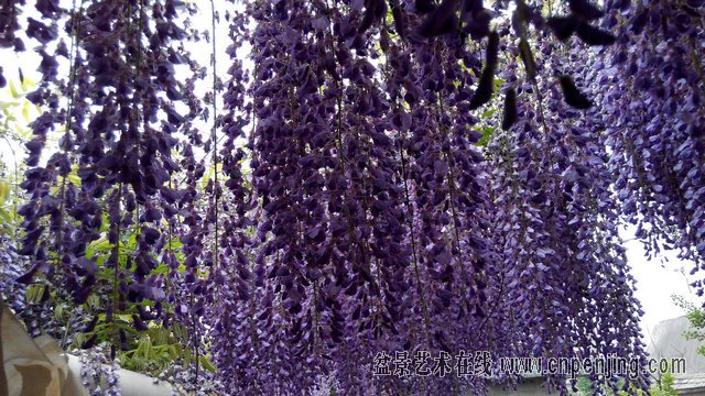 IMG_20150428_074556.jpg