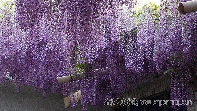 IMG_20150427_181822.jpg
