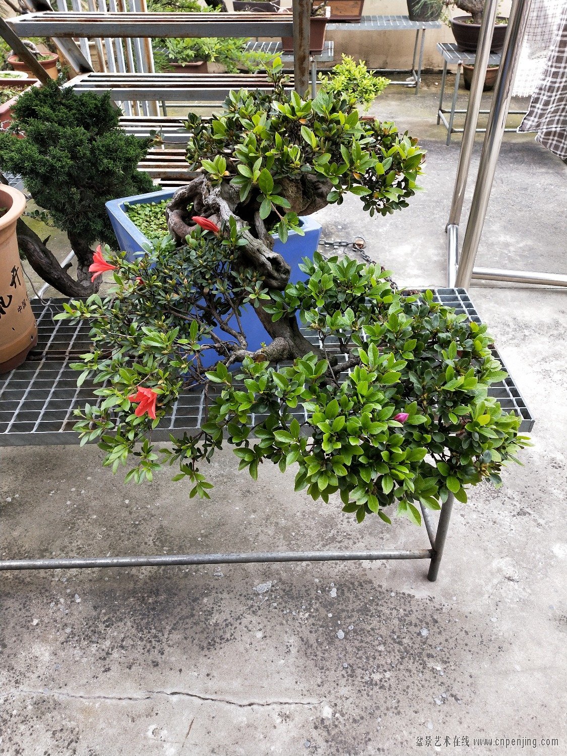 IMG20190430124012.jpg