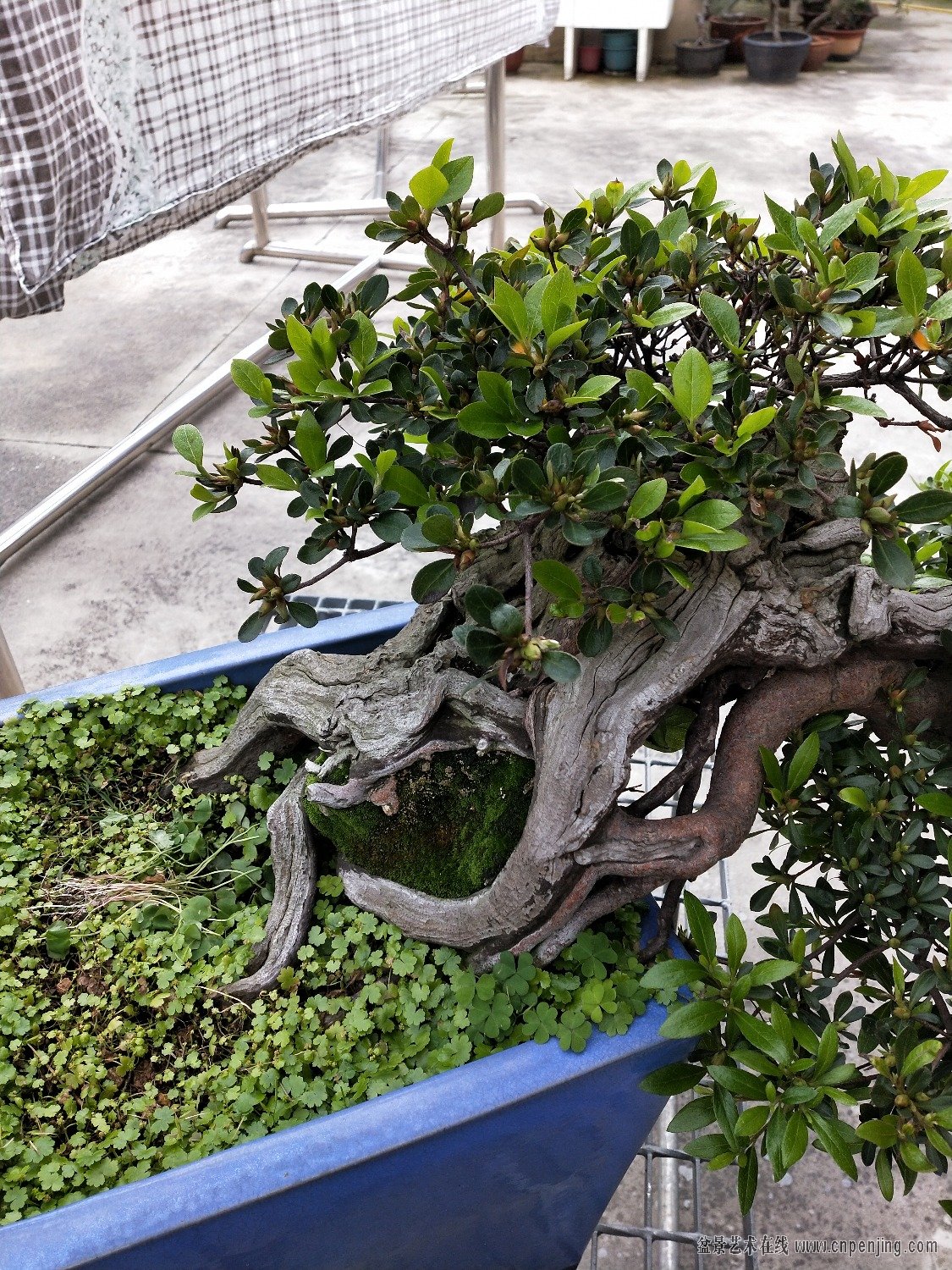 IMG20190430124027.jpg