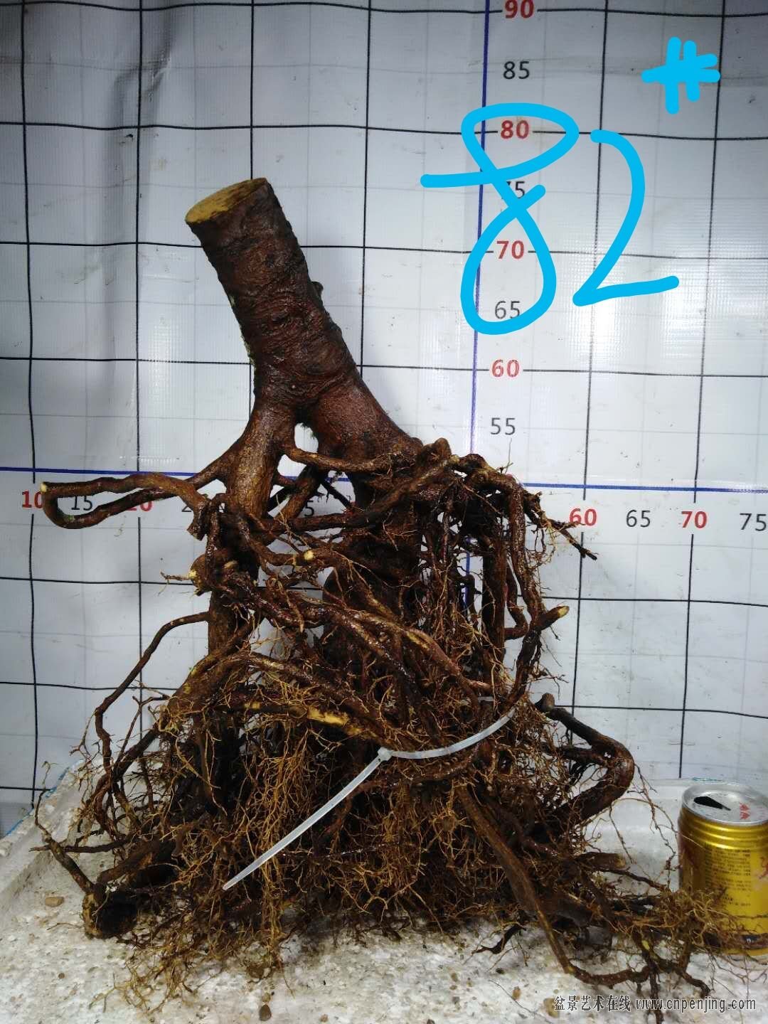880  