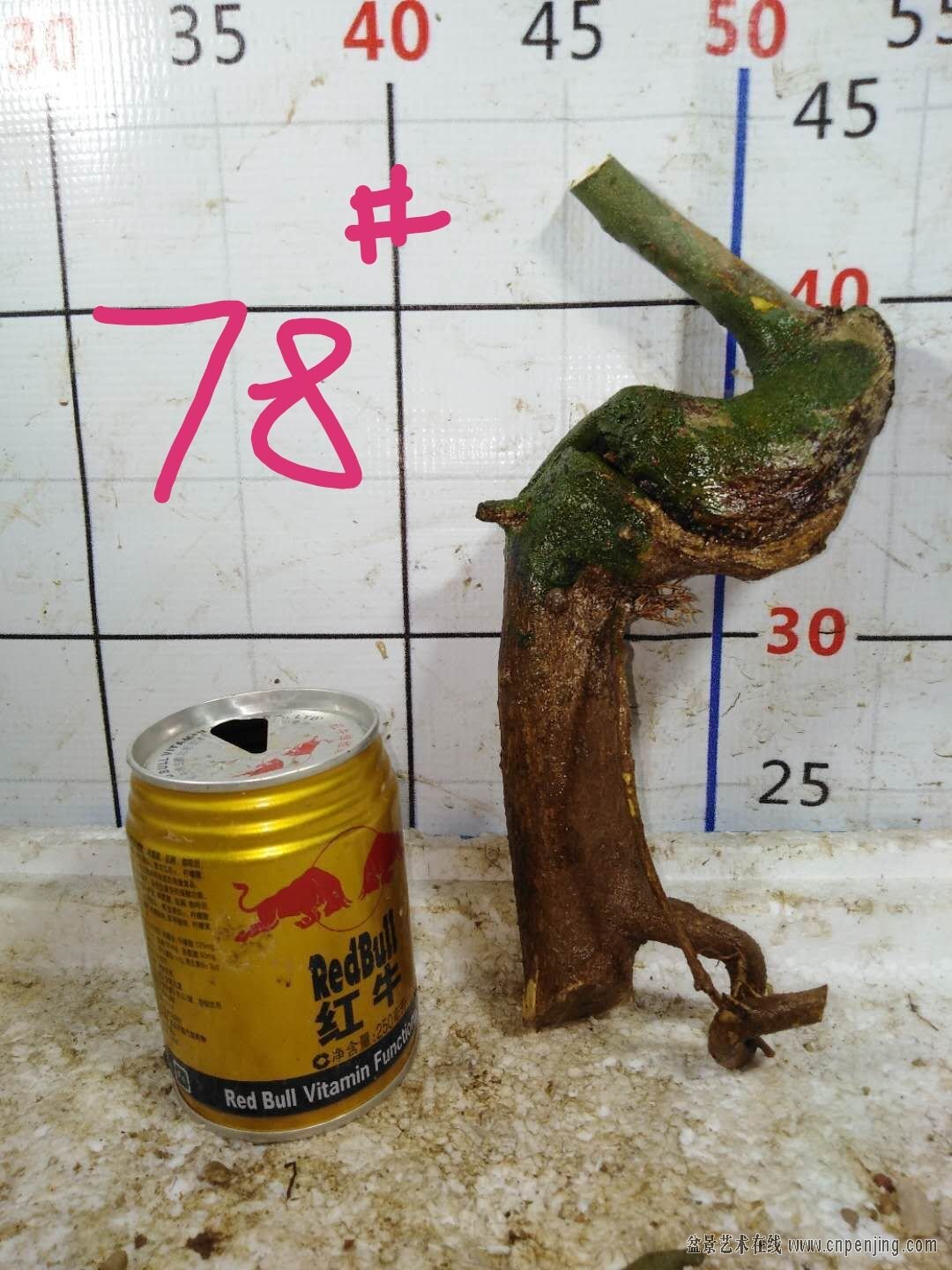 58  