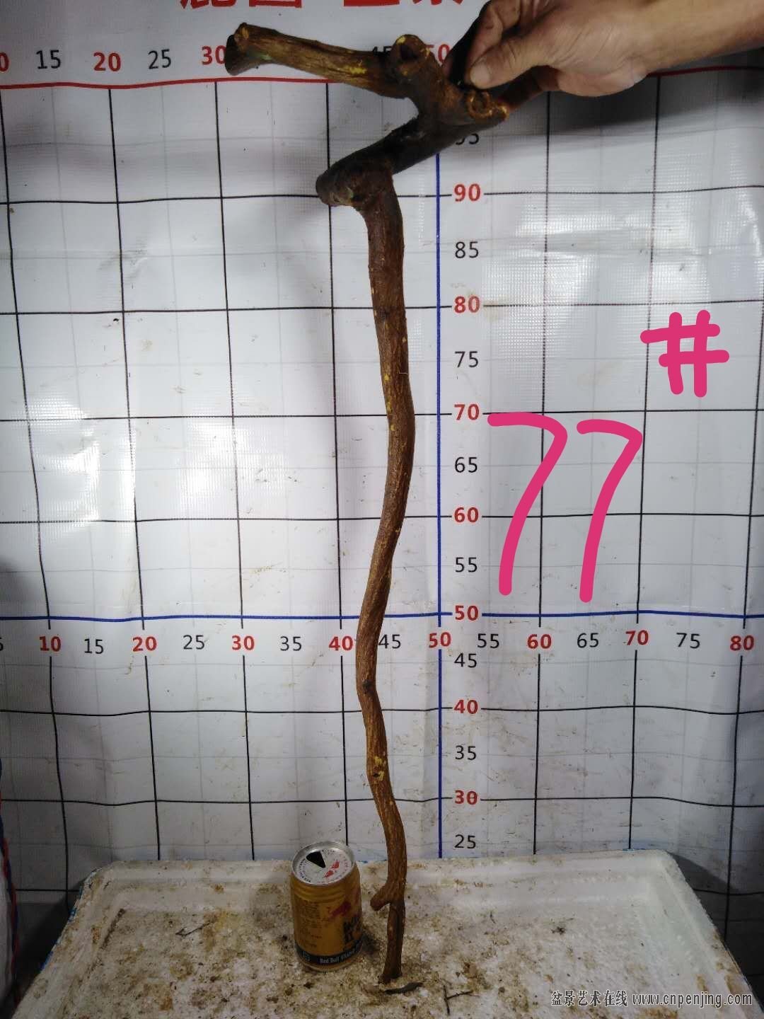 88 