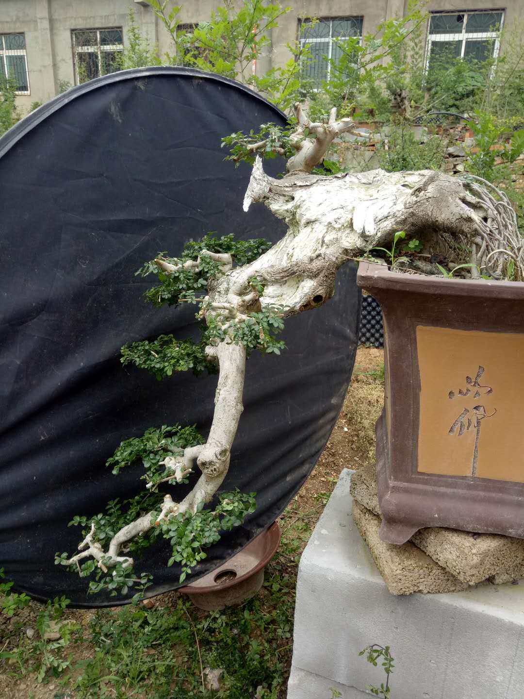 ΢ͼƬ_20190506102443.jpg