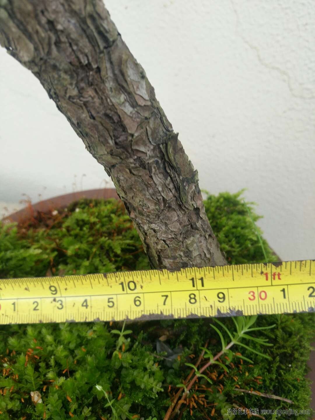 ΢ͼƬ_20190506113837.jpg