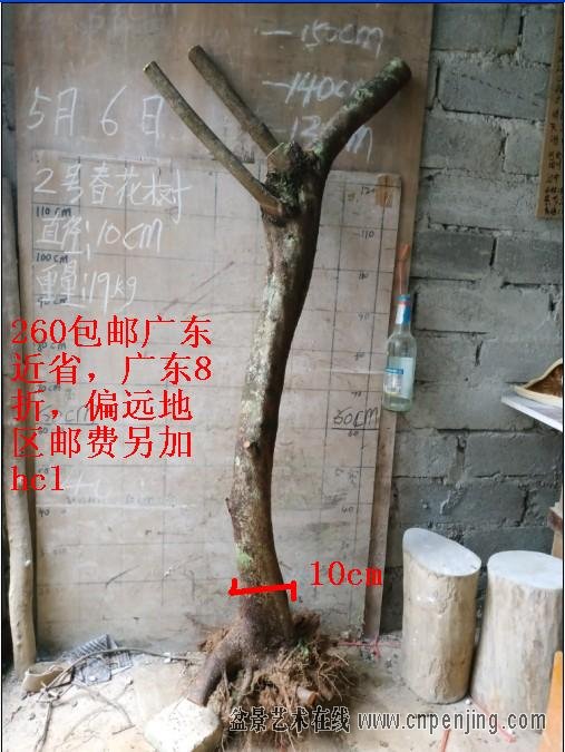 2019561.jpg
