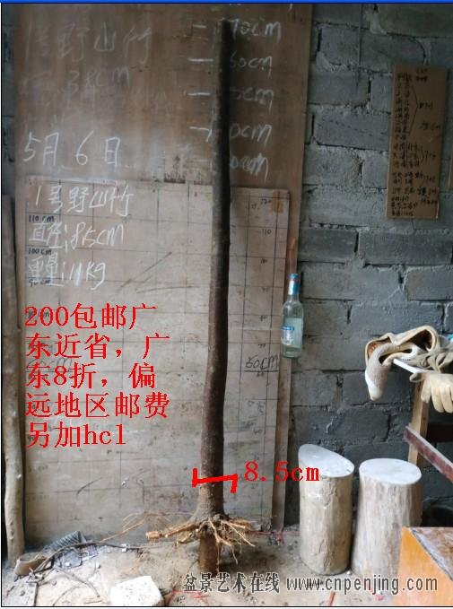 2019561.jpg