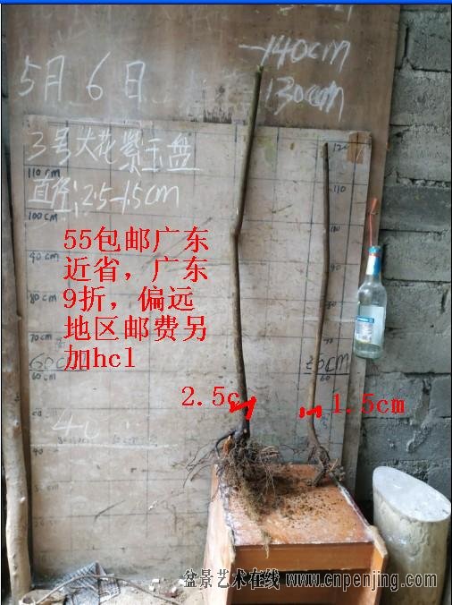 2019563.jpg