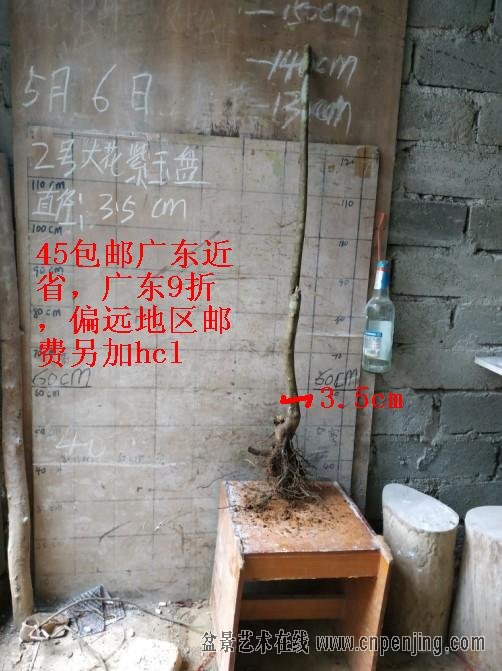 2019562.jpg