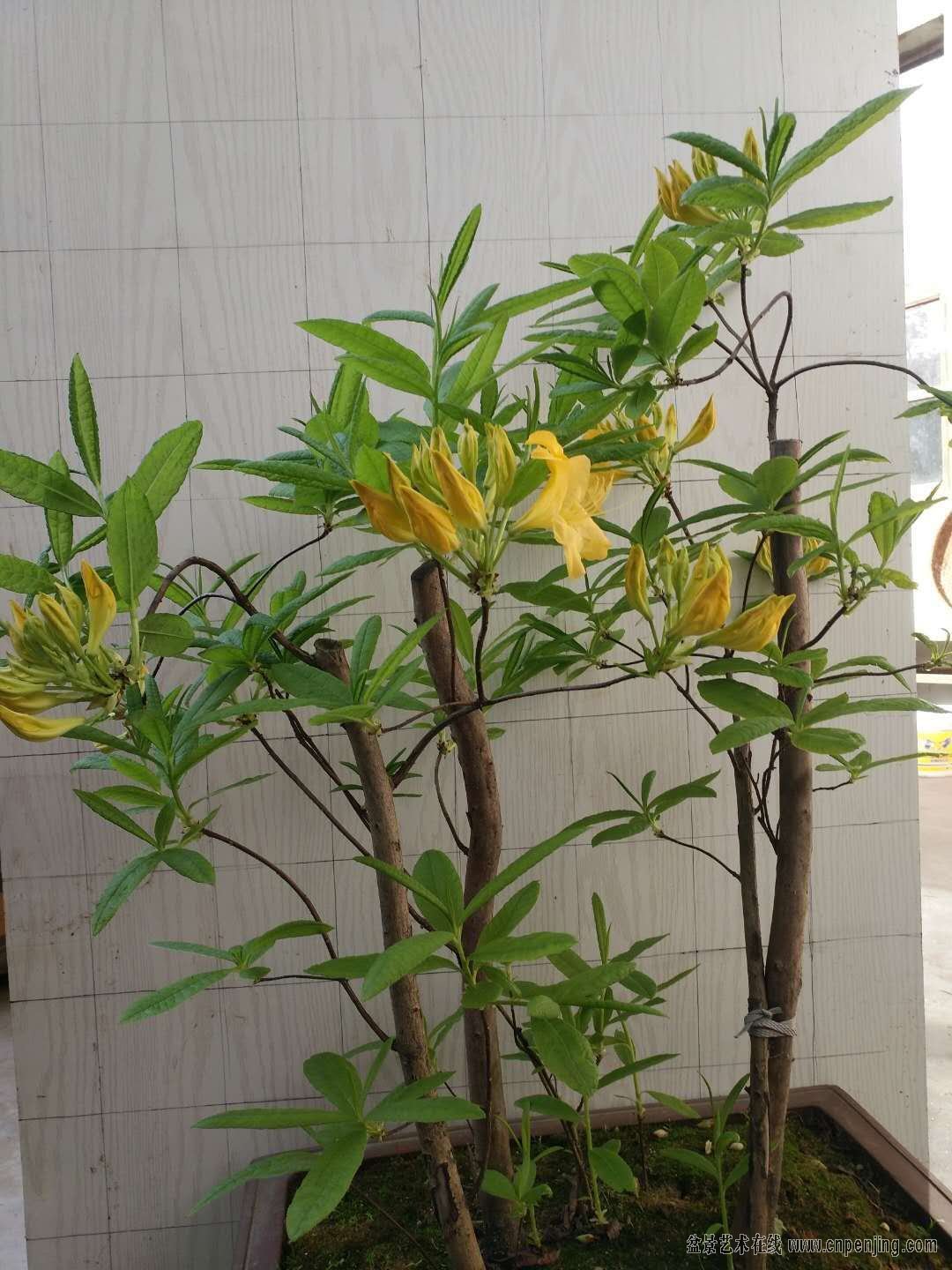 ΢ͼƬ_20190509211231.jpg