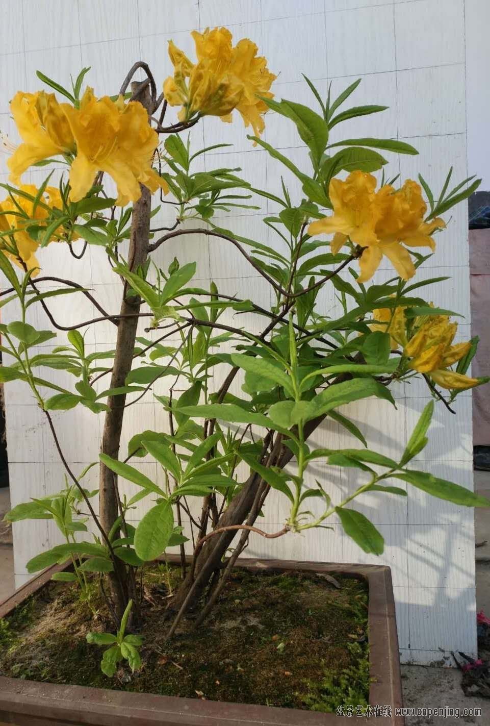 ΢ͼƬ_20190509211236.jpg