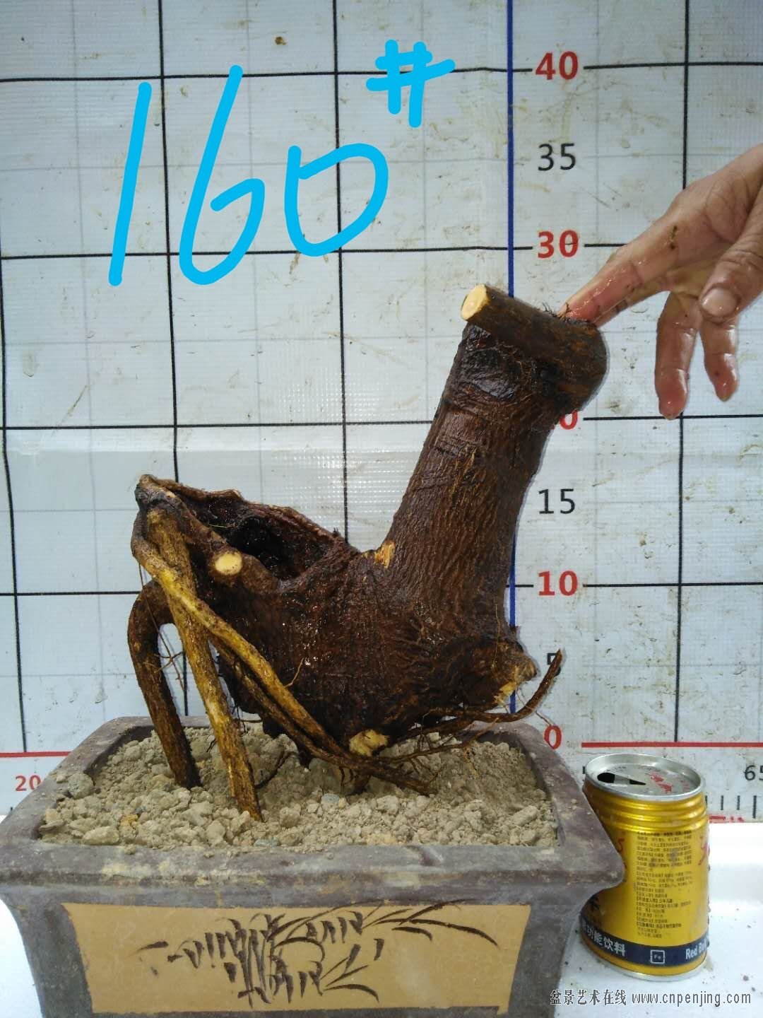108 
