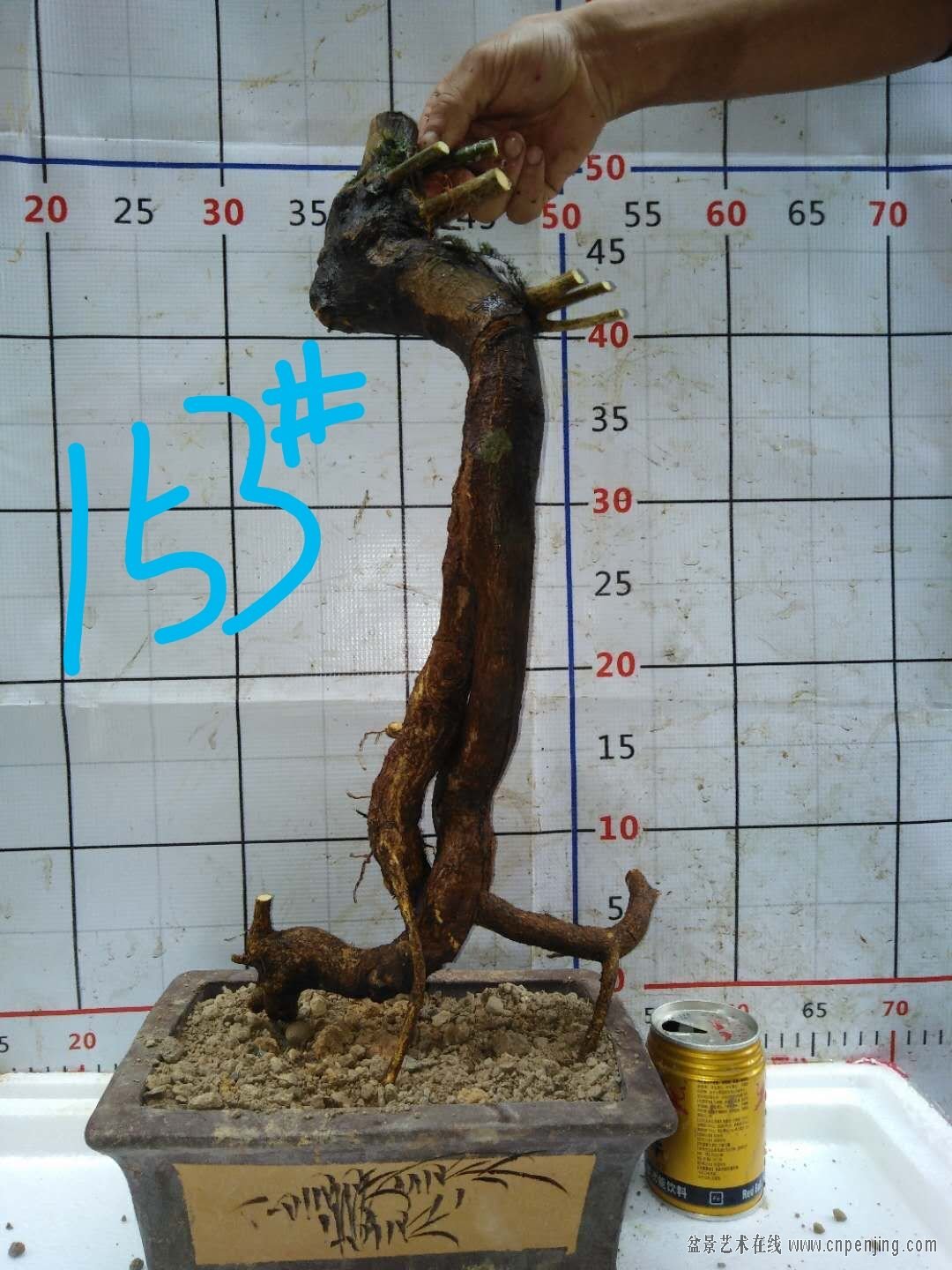 158  