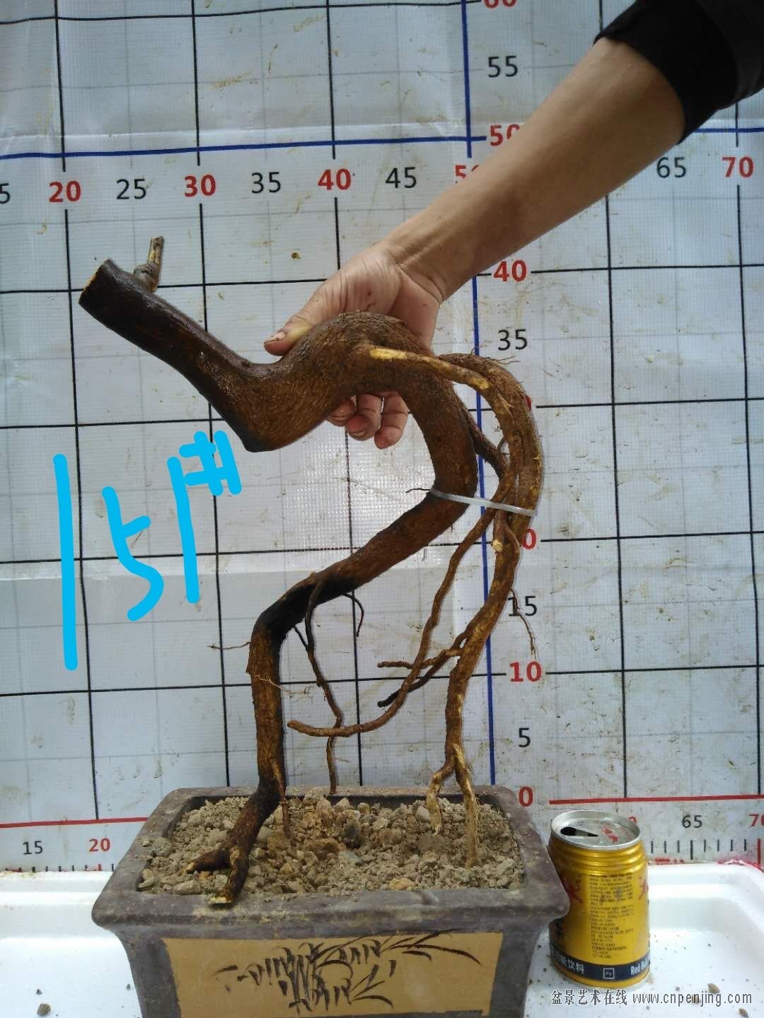98  