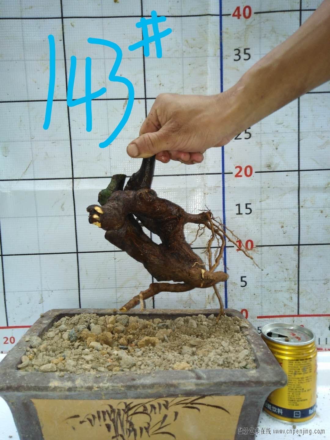 65 