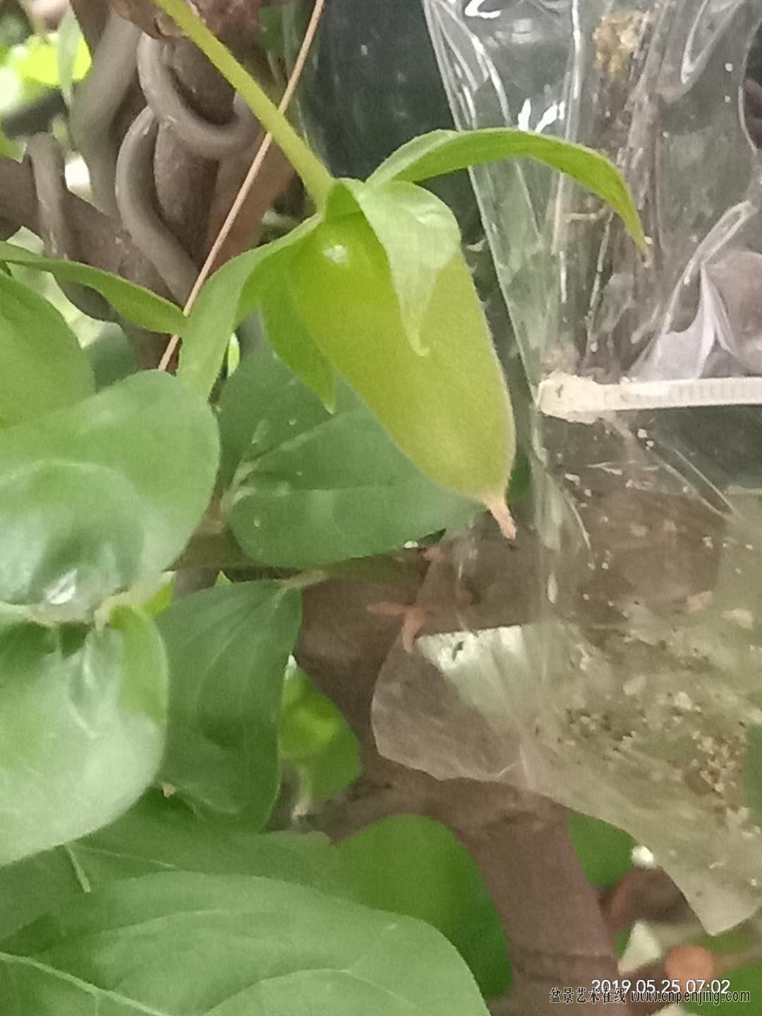 ΢ͼƬ_20190525080534.jpg
